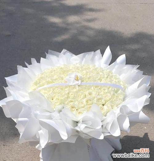 白玫瑰通常表达什么花语?它在爱情中代表什么?