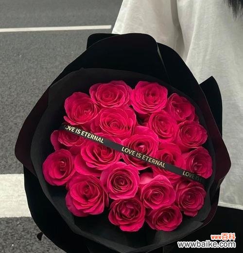 弗洛伊德搭配花语有何深意？