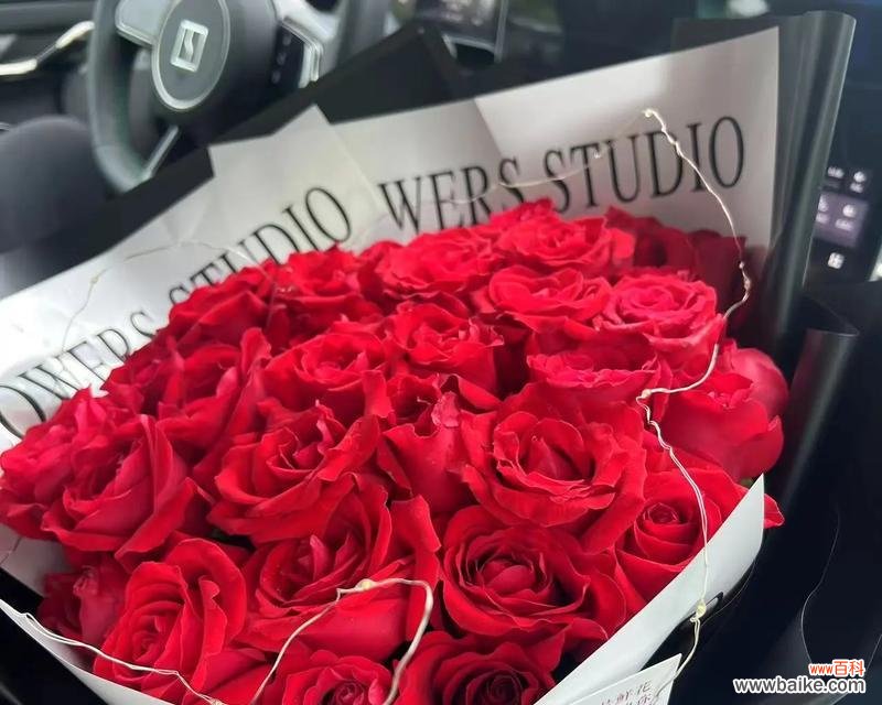 重新相爱用什么花来表达?