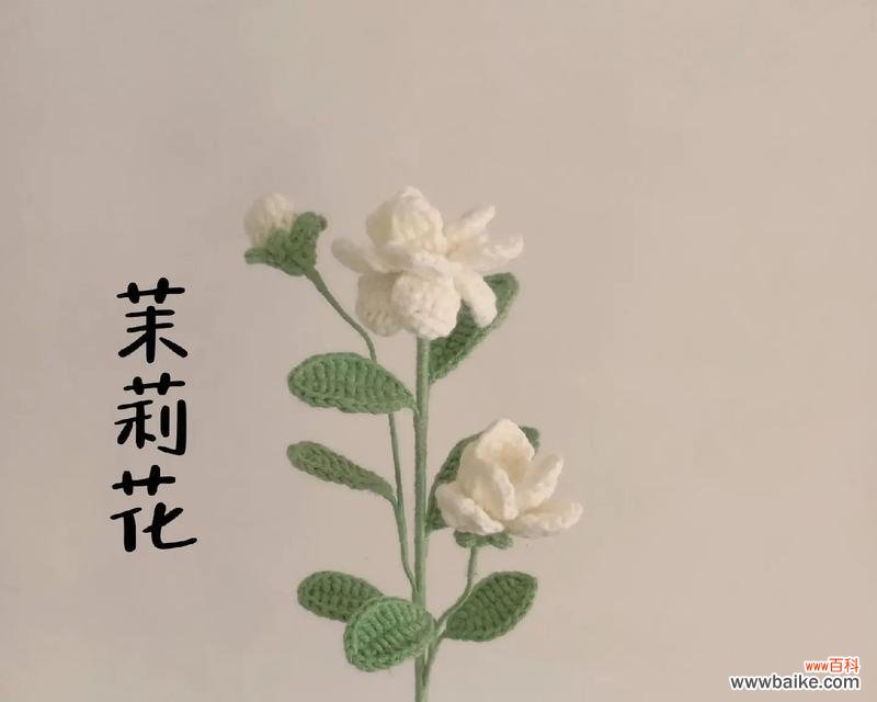 茉莉花的花语代表金钱吗？它的寓意又是什么？