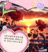 与暗恋思念有关的花语是什么？花语中如何表达暗恋和思念？