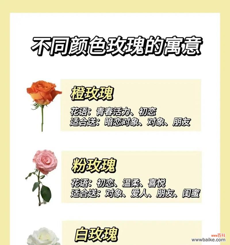 与暗恋思念有关的花语是什么?花语中如何表达暗恋和思念?