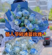 赛尔曼玫瑰的花语有何含义？