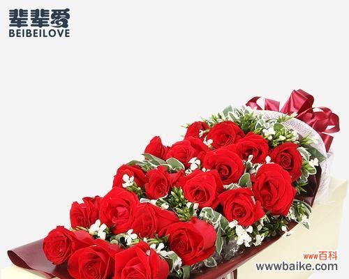 探索玫瑰花的吉祥寓意与浪漫情感 16朵玫瑰的象征意义