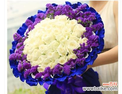 探索玫瑰花的吉祥寓意与浪漫情感 16朵玫瑰的象征意义