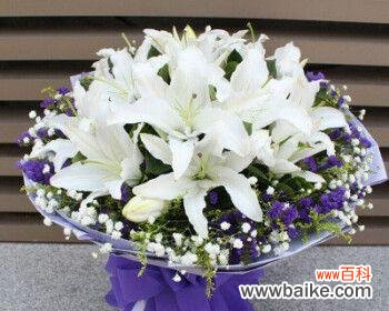 探索15朵玫瑰花的隐含意义 玫瑰花的含义与象征