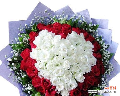 玫瑰花语 花语之玫瑰,16朵代表的意思