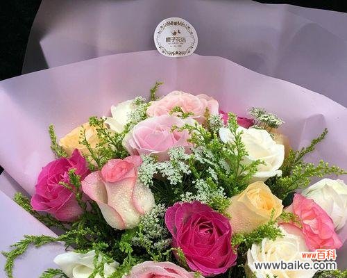 玫瑰花语 花语之玫瑰,16朵代表的意思