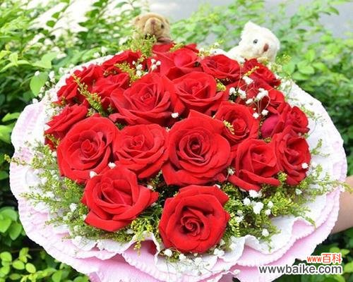 深情款款,表达无尽爱意 16朵玫瑰的花语