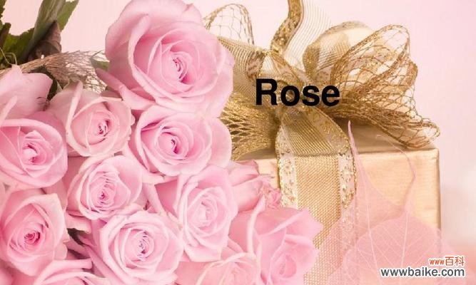 传递爱意的花海，将心意倾诉于花语之间 17朵玫瑰花语