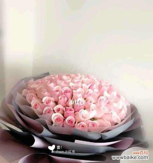 绽放真爱,盛开幸福的美丽花海 19朵粉玫瑰的花语传递爱情的温暖