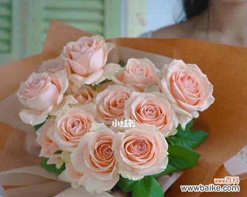 绽放真爱,盛开幸福的美丽花海 19朵粉玫瑰的花语传递爱情的温暖