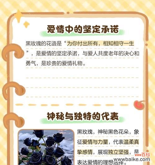 狭窄的黑玫瑰的花语是什么?它象征着什么?
