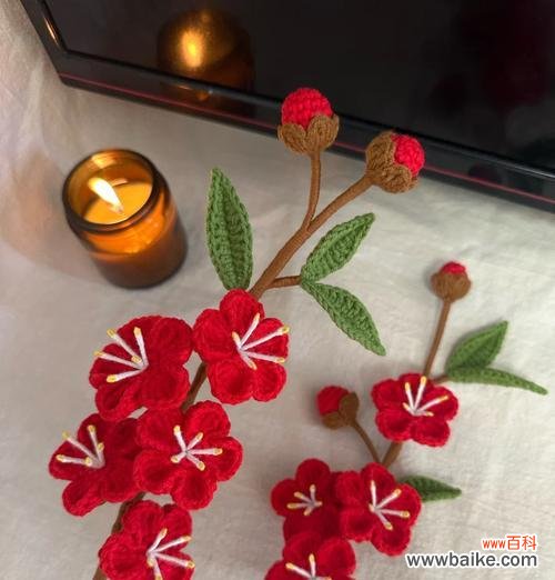 红色梅花的花语和寓意是什么？它象征着什么？