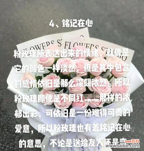 让他给你买玫瑰花代表了什么？这背后隐藏着怎样的情感？