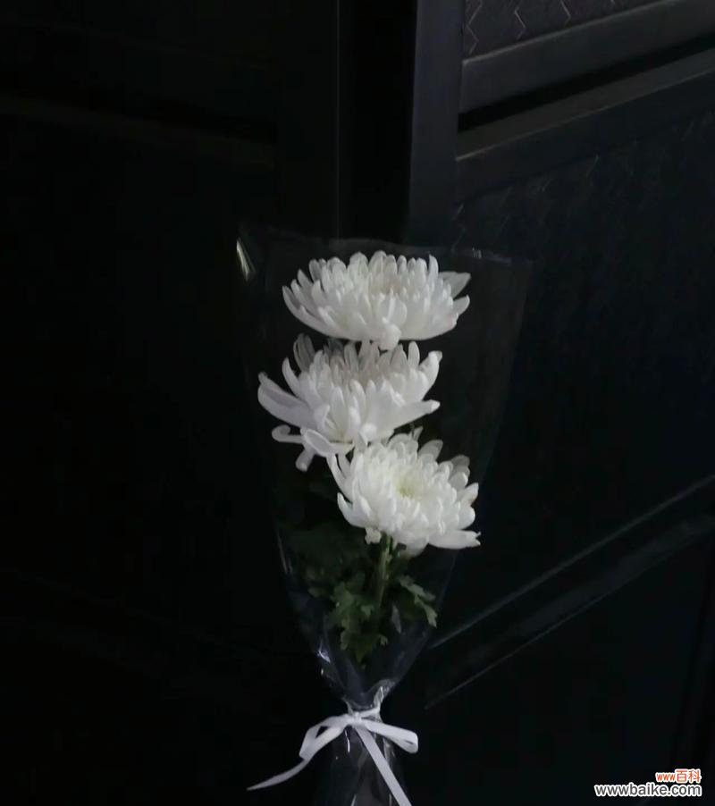 如何用花语表达对故去妈妈的思念?