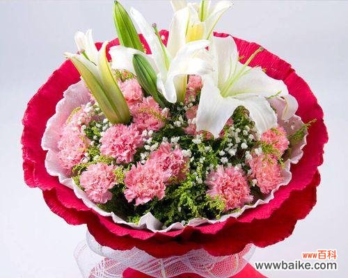 一朵朵芬芳的告白,传递着不同的情感 康乃馨的花语