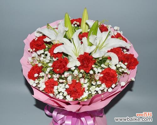 一朵朵芬芳的告白,传递着不同的情感 康乃馨的花语