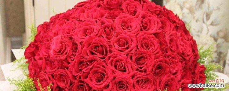 传递爱意的19朵玫瑰花束,情深意长的花束 19朵玫瑰花的花语