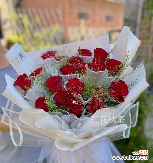 探寻玫瑰花的深意，了解19朵玫瑰的寓意 19朵玫瑰的花语和寓意