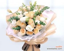 探秘19朵香槟色玫瑰的深层含义，感受温暖和感激的情感交融 香槟色玫瑰的花语