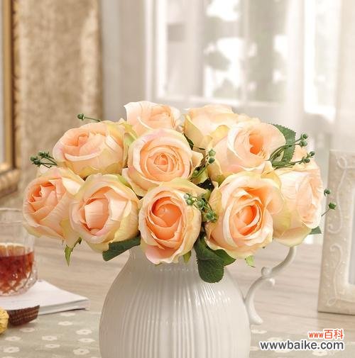 揭示玫瑰花传达的情感与祝福 香槟色玫瑰花花语的深意