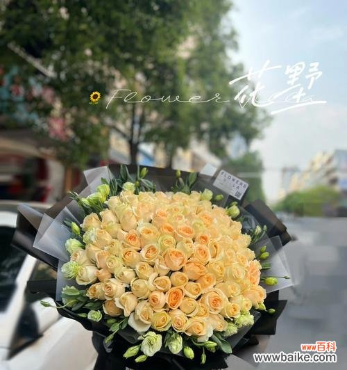 19朵香槟玫瑰的美丽象征与深刻寓意 香槟玫瑰之花语