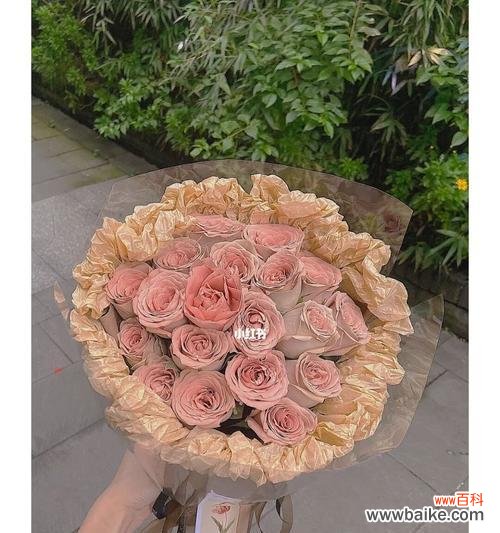 探寻卡布奇诺玫瑰的美与意义 以卡布奇诺玫瑰的花语