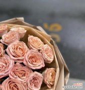 探索卡布奇诺玫瑰花语背后的浪漫与传统 卡布奇诺玫瑰花语的意义与传承