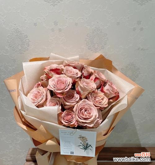 浪漫之语的醇香诠释 卡布奇诺玫瑰花语与寓意