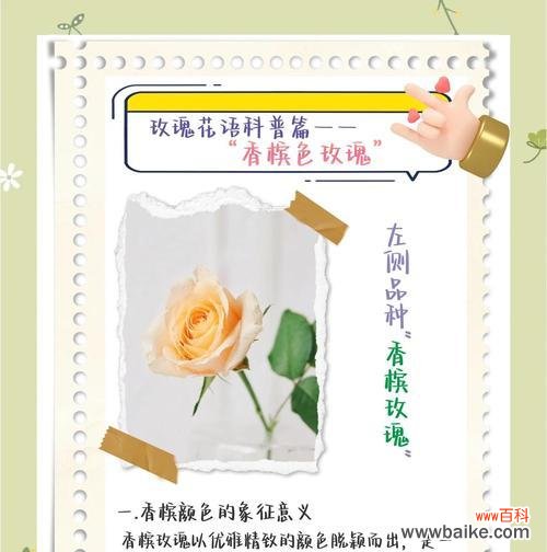 相爱不成送玫瑰花有何寓意？