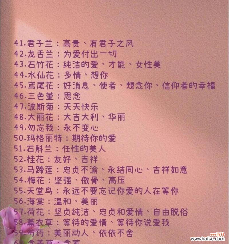 做自己的快乐花语有何寓意？它传达了怎样的生活态度？