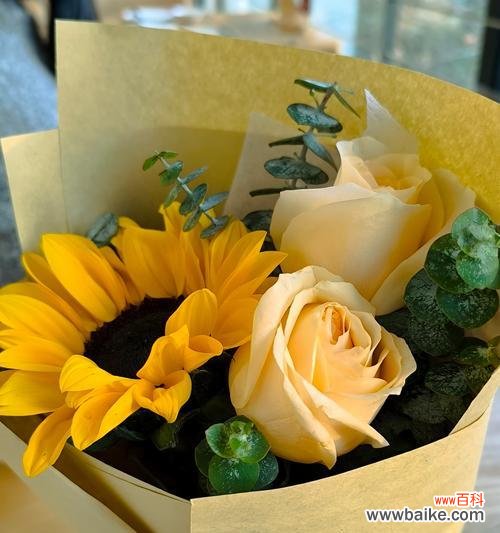 送你一束花花语是什么?一束花代表什么情感?