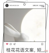 桂花的花语有哪些？桂花的花语通常表达什么情感？