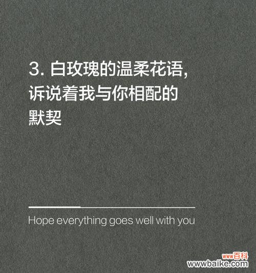 白玫瑰花语是什么意思？送白玫瑰有什么特别含义吗？