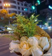 白玫瑰花语是什么意思？送白玫瑰有什么特别含义吗？