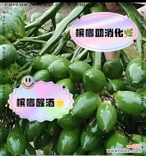 碎槟榔的花语有何特殊含义？如何解读？