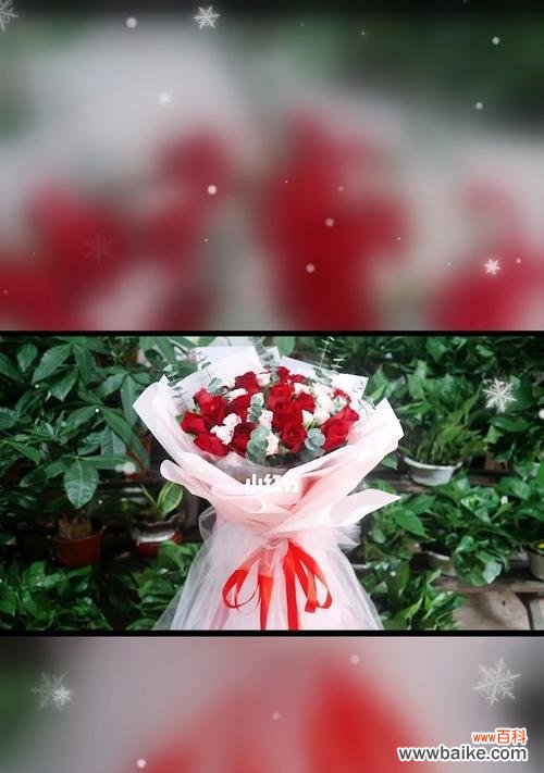 表达浓浓情意，传递深深爱恋 21朵玫瑰花的花语