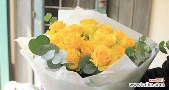 解读21朵香槟玫瑰所代表的花语以及如何表达真挚的爱意 21朵香槟玫瑰花语的意义及传达爱意的技巧