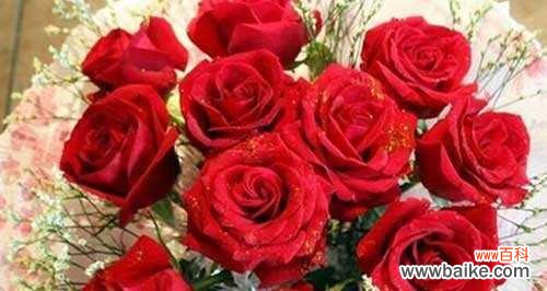 浪漫祝福，爱意绵绵 21朵玫瑰，传递深情