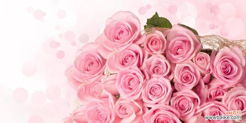 爱情的誓言与永恒 21朵玫瑰的花语