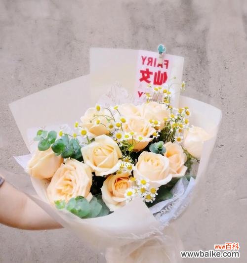 用21朵香槟玫瑰传达爱的承诺 21朵香槟玫瑰花语之美丽纯洁