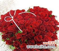 探索25朵玫瑰花的深层内涵 玫瑰花语的意义与传承