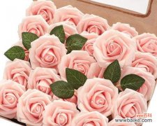 探索25朵玫瑰花的深层内涵 玫瑰花语的意义与传承