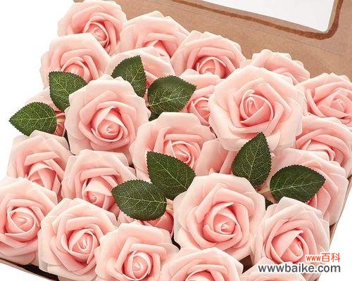 探索25朵玫瑰花的深层内涵 玫瑰花语的意义与传承