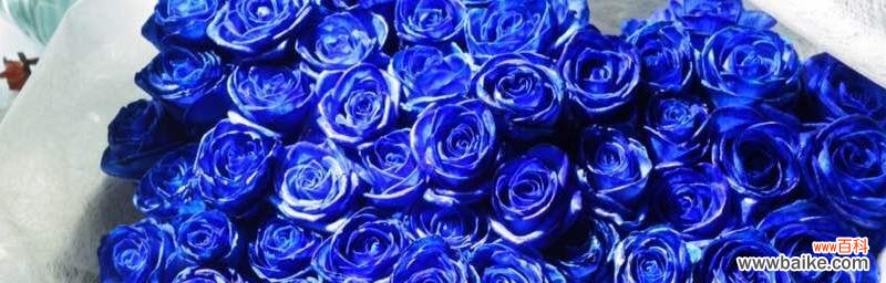 散发着甜蜜与浪漫的花语，揭示了两人之间深深的爱意 29朵玫瑰花的花语-爱的坚贞与承诺