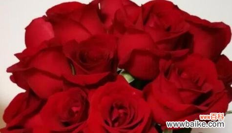 浪漫传递的芬芳信息，情感的炽热表白 29朵玫瑰花语的含义——爱情的永恒誓言