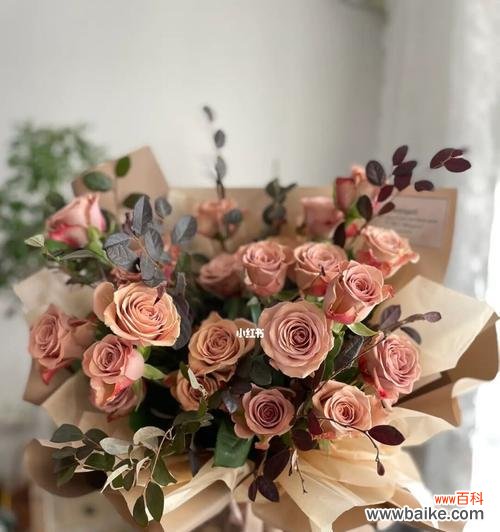 温柔浪漫的爱情之语 以卡布奇诺玫瑰花语寓意