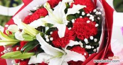 美丽 康乃馨的象征意义及其代表的含义