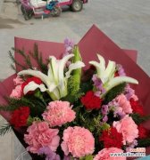 康乃馨的象征意义及其重要性 康乃馨